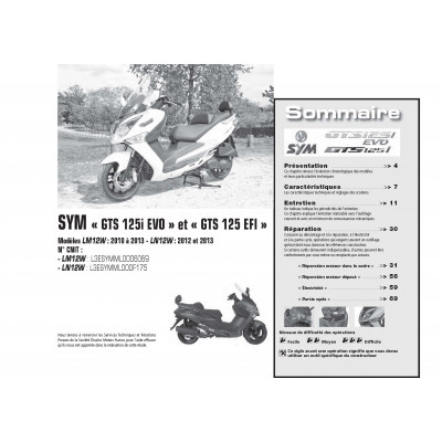 Pack RMT 173 TRIUMPH STREET TRIPLE (2013 à 2014) et SYM GTS 125 (2010 à 2013)+PDF