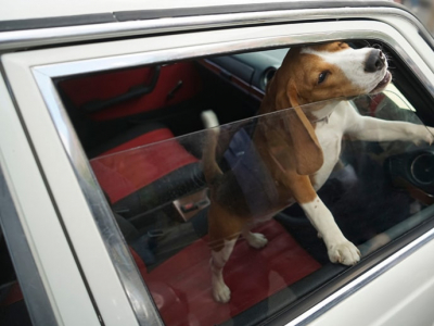 Chaleur en voiture : comment ne pas se sentir comme dans un four